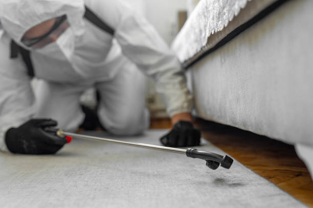 Professional Bed Bug Control technician working in Brooksville, MS