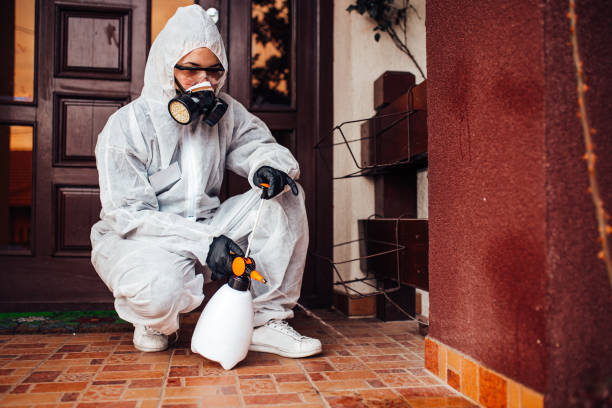 Reliable Bed Bug Control contractor in Brooksville, MS by Nex Pest Control