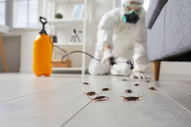 Trusted Cockroach Control service in Brooksville, MS - Nex Pest Control